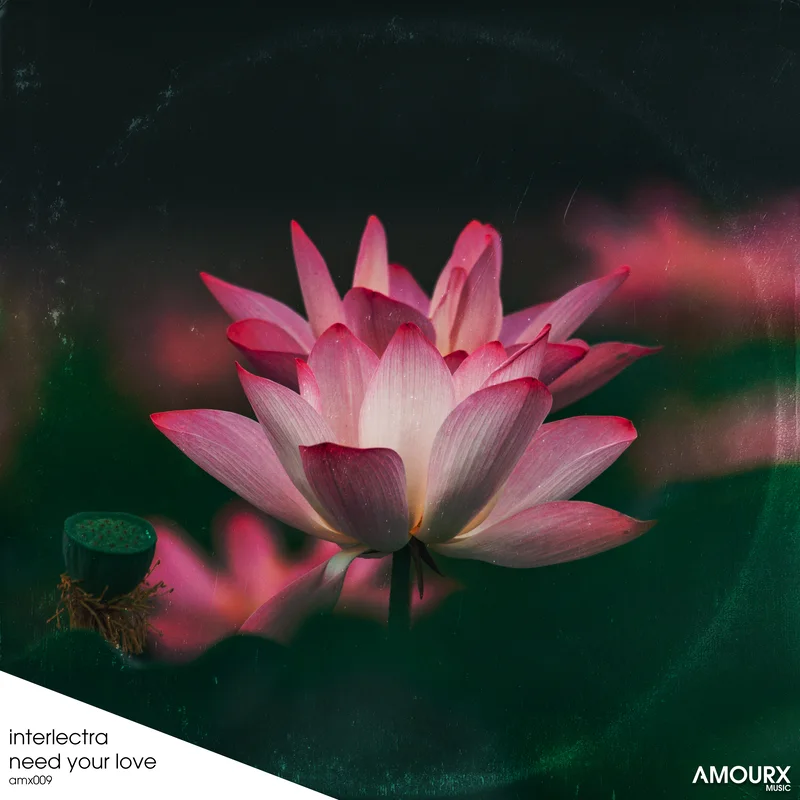 Need Your Love — cover art
